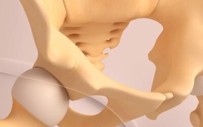 Anatomy Advanced – Release and Reconnect with your Pelvic Floor Muscles